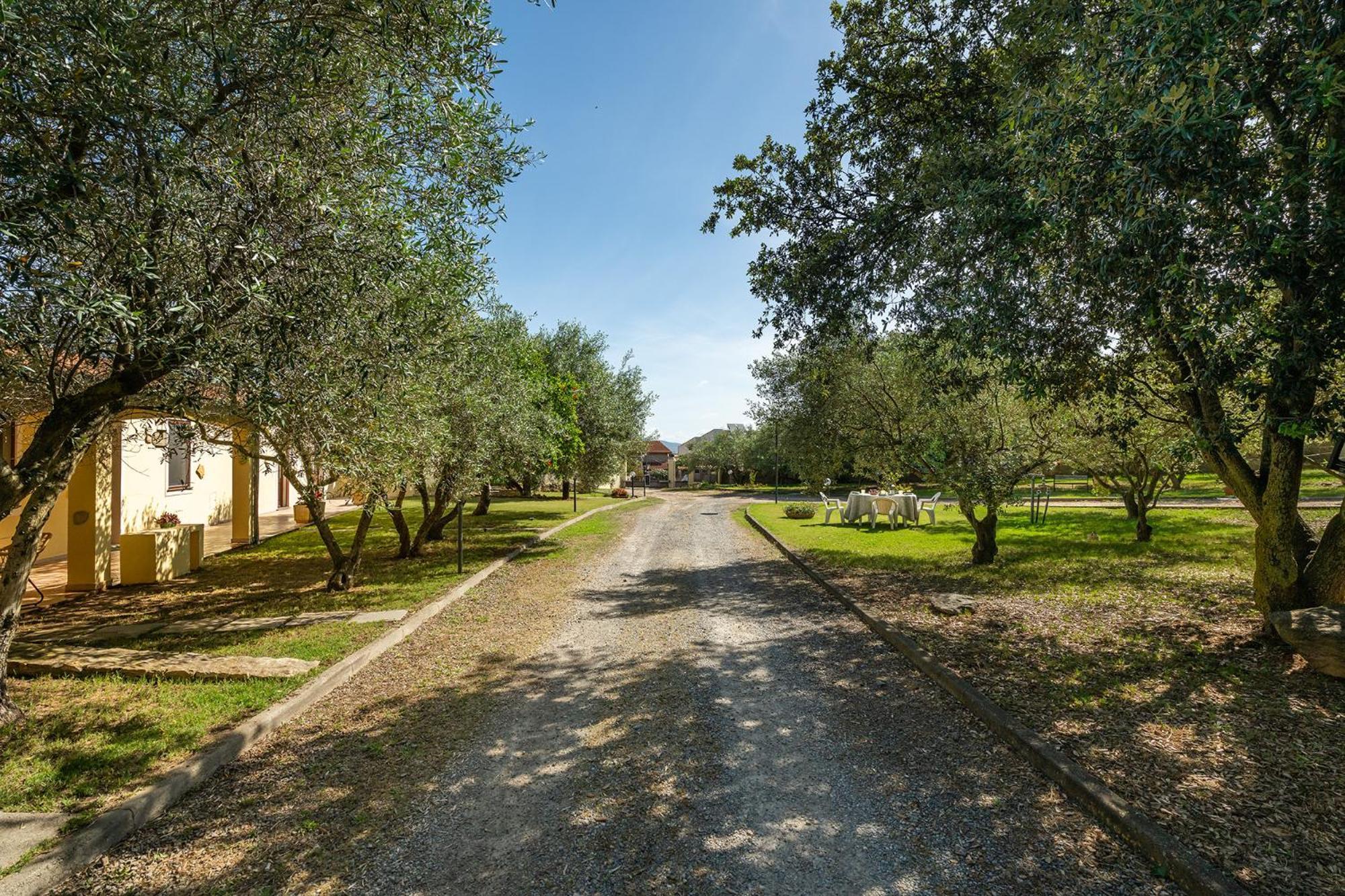 Residenza Parco Degli Ulivi Villa Villamassargia Buitenkant foto